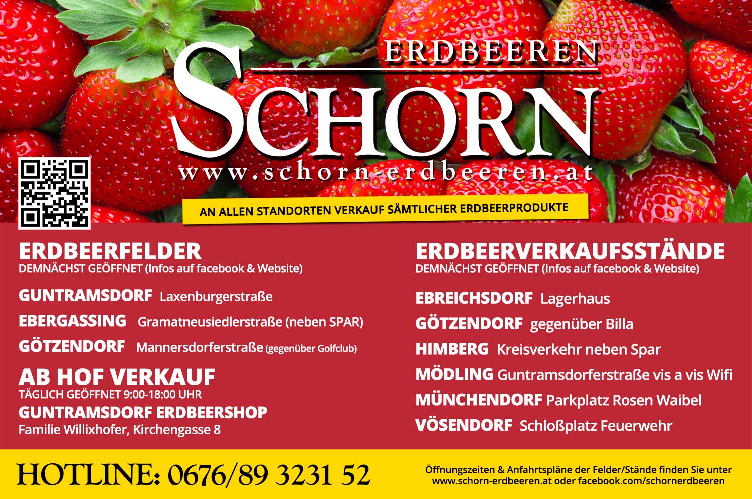 Schorn Erdbeeren Inserat